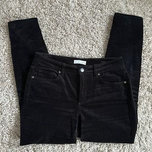 LOFT Velvet Pants size 8